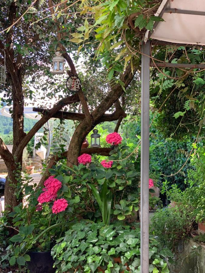 Il Cenacolo Di Sissi Apartman Campagnano Di Roma Kültér fotó
