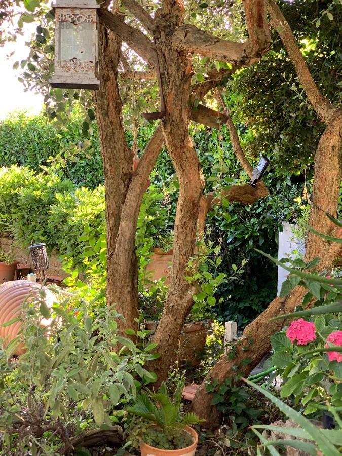 Il Cenacolo Di Sissi Apartman Campagnano Di Roma Kültér fotó