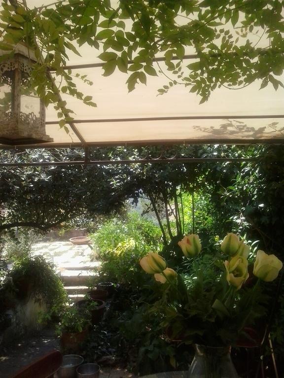 Il Cenacolo Di Sissi Apartman Campagnano Di Roma Kültér fotó