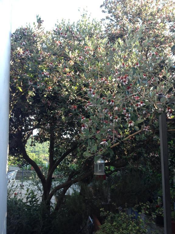 Il Cenacolo Di Sissi Apartman Campagnano Di Roma Kültér fotó